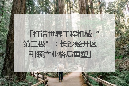 打造世界工程机械“第三极”：长沙经开区引领产业格局重塑